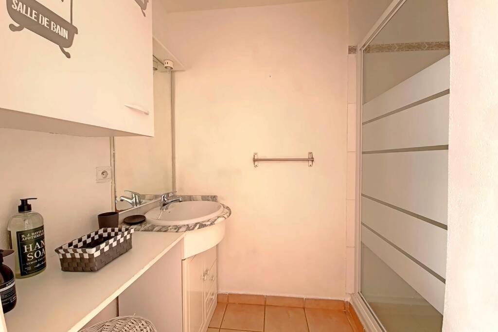 Ref Ls54 : Maison 4 Pers Mas Des Manadiers K1 Saintes-Maries-de-la-Mer Luaran gambar